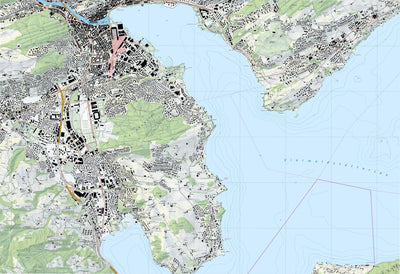 SwissTopo Horw, 1:10,000 digital map