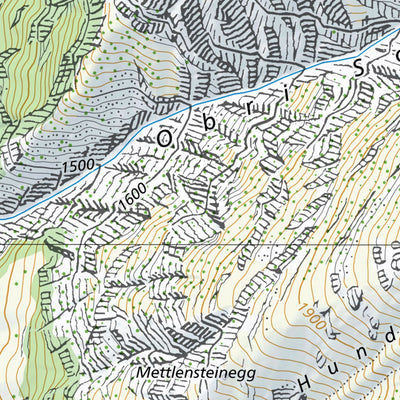 SwissTopo Innertkirchen 1, 1:10,000 digital map