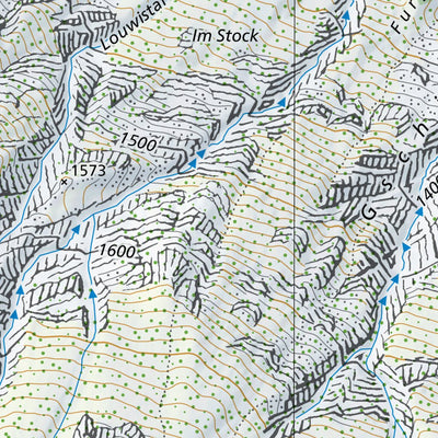 SwissTopo Innertkirchen 1, 1:10,000 digital map