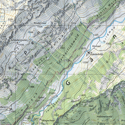 SwissTopo Innertkirchen, 1:25,000 digital map