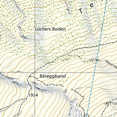 SwissTopo Innertkirchen 2, 1:10,000 digital map