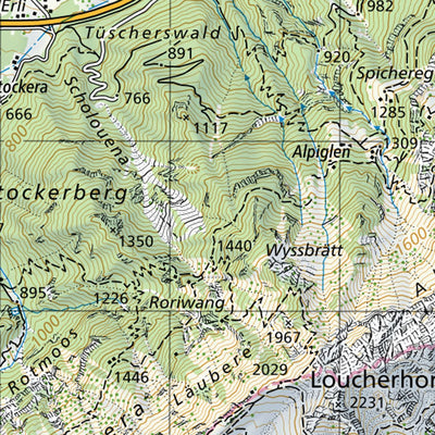 SwissTopo Interlaken, 1:50,000 digital map