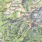 SwissTopo Interlaken, 1:50,000 digital map