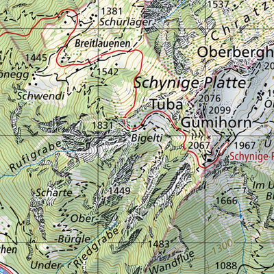 SwissTopo Interlaken, 1:50,000 digital map