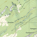 SwissTopo Iseltwald, 1:10,000 digital map