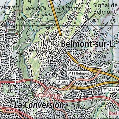 SwissTopo Lausanne, 1:50,000 digital map