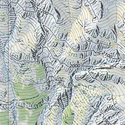 SwissTopo Lavizzara 2, 1:10,000 digital map