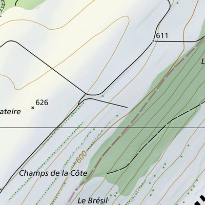 SwissTopo Les Montets, 1:10,000 digital map