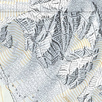 SwissTopo Liddes, 1:10,000 digital map