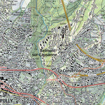 SwissTopo Morges, 1:25,000 digital map