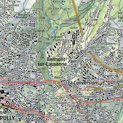 SwissTopo Morges, 1:25,000 digital map