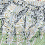 SwissTopo Morschach, 1:10,000 digital map