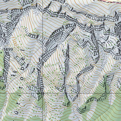 SwissTopo Morschach, 1:10,000 digital map