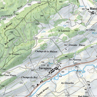 SwissTopo Mouthe, 1:25,000 digital map