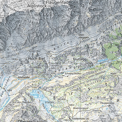 SwissTopo Münsingen, 1:25,000 digital map