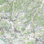 SwissTopo Murten / Morat, 1:25,000 digital map