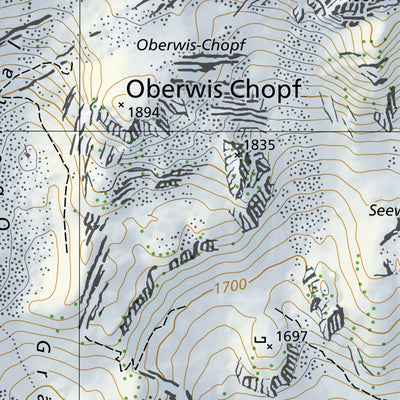 SwissTopo Nesslau-Krummenau, 1:10,000 digital map