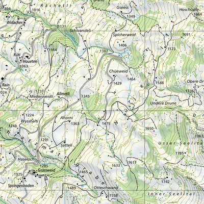 SwissTopo Niesen, 1:25,000 digital map