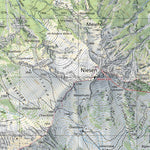 SwissTopo Niesen, 1:25,000 digital map