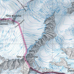 SwissTopo Orsières, 1:25,000 digital map