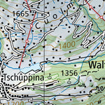 SwissTopo Panixerpass, 1:100,000 digital map