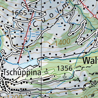 SwissTopo Panixerpass, 1:100,000 digital map