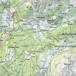 SwissTopo Pizzo Campo Tencia, 1:25,000 digital map