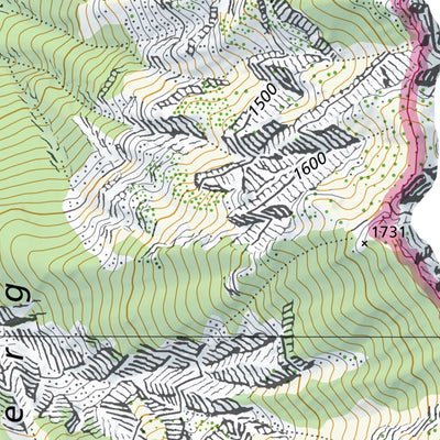 SwissTopo Planken, 1:10,000 digital map