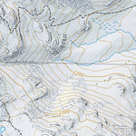 SwissTopo Poschiavo 2, 1:10,000 digital map