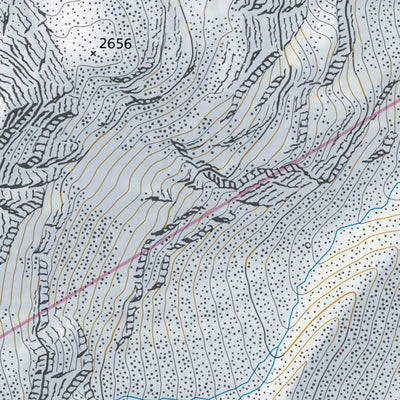 SwissTopo Poschiavo 2, 1:10,000 digital map