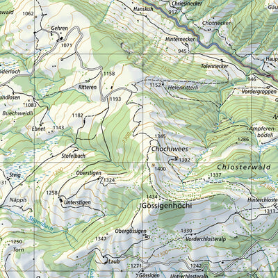 SwissTopo Ricken, 1:25,000 digital map
