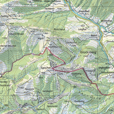 SwissTopo Ricken, 1:25,000 digital map