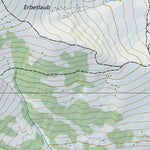 SwissTopo Saanen 2, 1:10,000 digital map