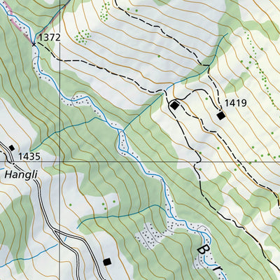 SwissTopo Saanen 2, 1:10,000 digital map