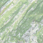 SwissTopo Savognin, 1:25,000 digital map
