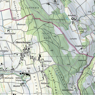 SwissTopo Schöftland, 1:25,000 digital map