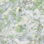 SwissTopo Singen, 1:25,000 digital map