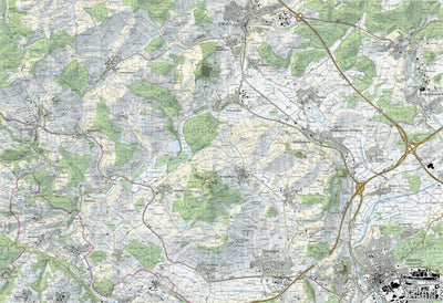 SwissTopo Singen, 1:25,000 digital map