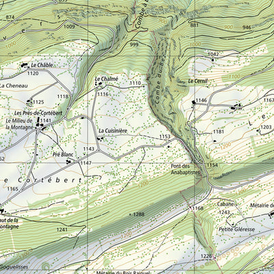 SwissTopo Solothurn, 1:25,000 digital map