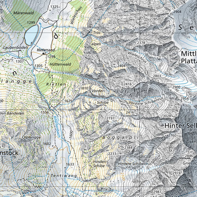 SwissTopo Tödi, 1:25,000 digital map