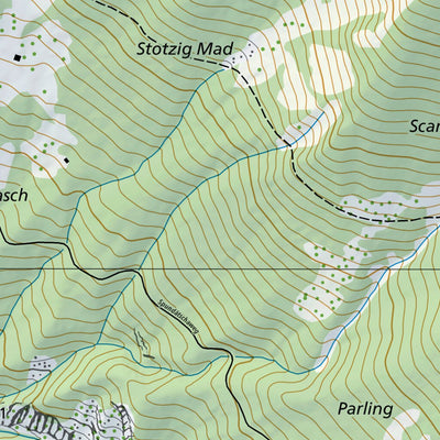SwissTopo Trimmis, 1:10,000 digital map