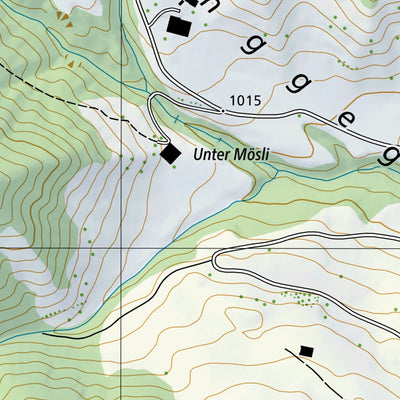 SwissTopo Trub, 1:10,000 digital map