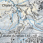 SwissTopo Val de Bagnes, 1:100,000 digital map