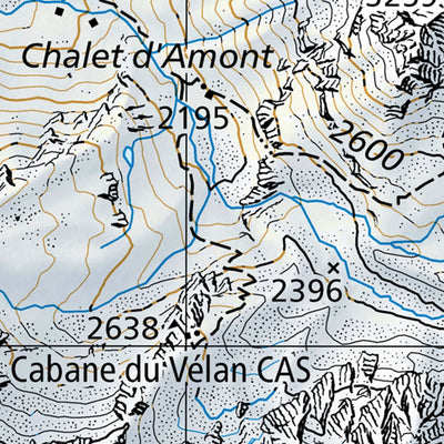 SwissTopo Val de Bagnes, 1:100,000 digital map