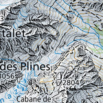 SwissTopo Val de Bagnes, 1:100,000 digital map