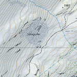 SwissTopo Vals 1, 1:10,000 digital map