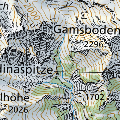 SwissTopo Vorarlberg, 1:100,000 digital map