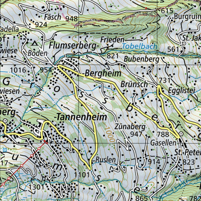 SwissTopo Walenstadt, 1:50,000 digital map