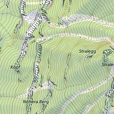 SwissTopo Wartau, 1:10,000 digital map