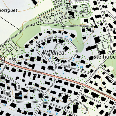 SwissTopo Worb, 1:10,000 digital map